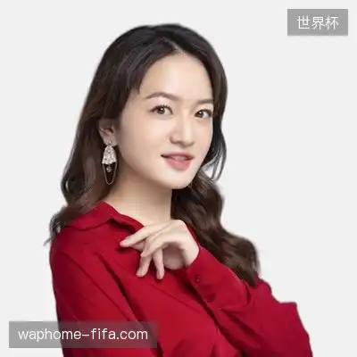 傅辉云